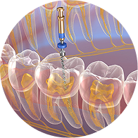 Endodontics Training