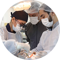 Endodontics Course