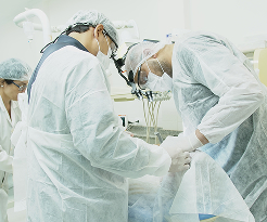Dental Course